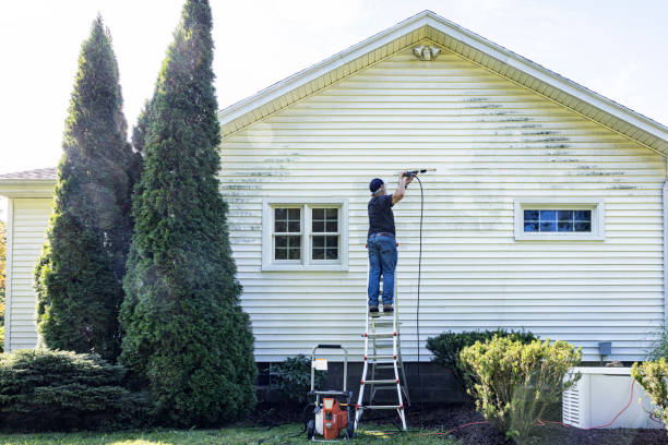 Best Soft Washing for Delicate Surfaces in Griggsvle, IL